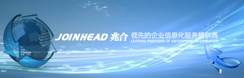 领先的企业信息化服务提供? width=